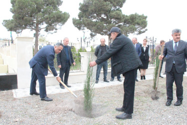 Goranboyda “08 noyabr –Zəfər Günü” ilə bağlı Fəxralı kəndində növbəti ağacəkmə aksiyası keçirildi