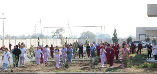 Goranboyda “08 noyabr –Zəfər Günü” ilə bağlı növbəti ağacəkmə aksiyası keçirildi