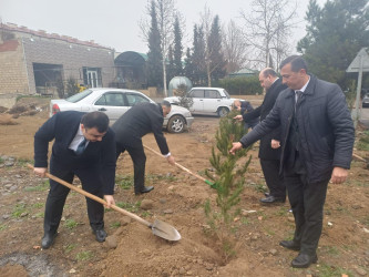 Goranboyda, Xocalı soyqırımı qurbanlarının xatirəsinə həsr olunmuş ağacəkmə aksiyası keçirildi
