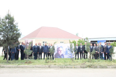 Goranboyda “Şəhərsalma və Memarlıq İli” çərçivəsində Ümummilli Lider Heydər Əliyevin anadan olmasının 103-cü ildönümü ilə bağlı ağacəkmə aksiyası keçirildi
