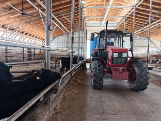 Goranboyda heyvandarlıq təsərrüfatlarına baxış davam etdirilir