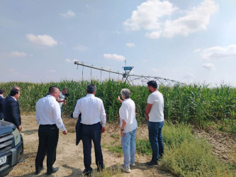 Goranboyda aqrar sahədə yeni layihələrin icrası ilə bağlı monitorinq aparıldı