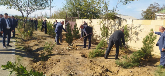 Goranboyda “08 noyabr –Zəfər Günü” ilə bağlı ağacəkmə aksiyası keçirildi