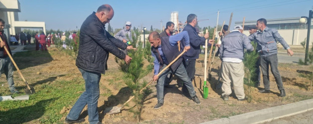 Goranboyda “08 noyabr –Zəfər Günü” ilə bağlı növbəti ağacəkmə aksiyası keçirildi