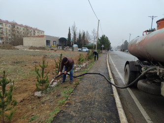Goranboyda, Xocalı soyqırımı qurbanlarının xatirəsinə həsr olunmuş ağacəkmə aksiyası keçirildi