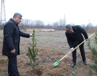 Goranboyda, Xocalı soyqırımı qurbanlarının xatirəsinə həsr olunmuş ağacəkmə aksiyası keçirildi