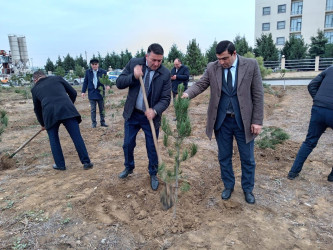 Goranboyda Ümummilli Lider Heydər Əliyevin anım günü ilə bağlı, ağacəkmə aksiyası təşkil olundu