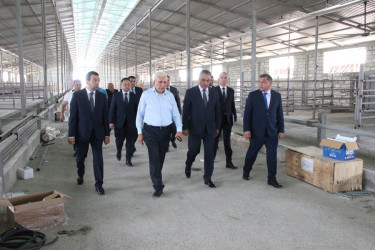 Goranboyda heyvandarlıq təsərrüfatlarına baxış davam etdirilir