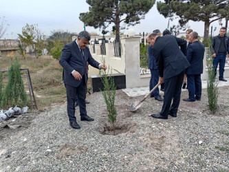 Goranboyda “08 noyabr –Zəfər Günü” ilə bağlı Fəxralı kəndində növbəti ağacəkmə aksiyası keçirildi