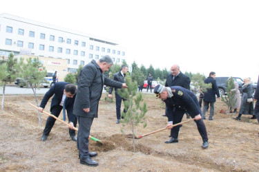 Goranboyda Ümummilli Lider Heydər Əliyevin anım günü ilə bağlı, ağacəkmə aksiyası təşkil olundu