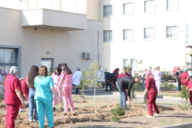 Goranboyda “08 noyabr –Zəfər Günü” ilə bağlı növbəti ağacəkmə aksiyası keçirildi