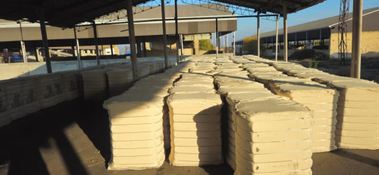 Goranboyda icra başçısı  pambıq qəbulu məntəqəsində oldu