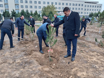 Goranboyda Ümummilli Lider Heydər Əliyevin anım günü ilə bağlı, ağacəkmə aksiyası təşkil olundu