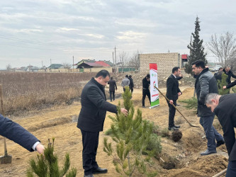 Goranboyun 2026-cı il üçün "Gənclər Paytaxtı" seçilməsi ilə bağlı “Gənclər həftəsi” çərçivəsində ağacəkmə aksiyası keçirildi