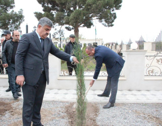 Goranboyda “08 noyabr –Zəfər Günü” ilə bağlı Fəxralı kəndində növbəti ağacəkmə aksiyası keçirildi