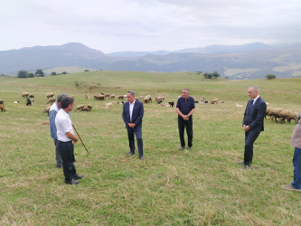 Goranboyda dağlıq ərazidə heyvandarlıqla məşğul olan təsərrüfat sahibləri ilə görüş keçirildi