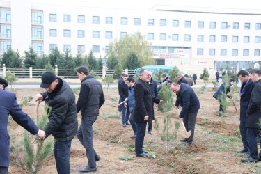 Goranboyda Ümummilli Lider Heydər Əliyevin anım günü ilə bağlı, ağacəkmə aksiyası təşkil olundu
