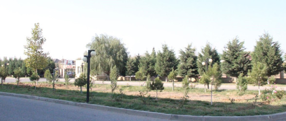 Goranboyda “08 noyabr –Zəfər Günü” ilə bağlı növbəti ağacəkmə aksiyası keçirildi