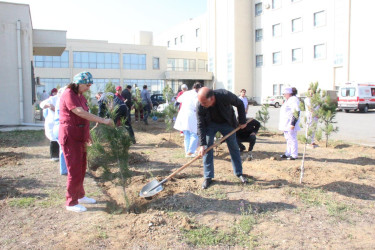 Goranboyda “08 noyabr –Zəfər Günü” ilə bağlı növbəti ağacəkmə aksiyası keçirildi