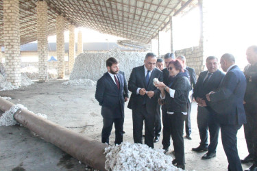 Goranboyda icra başçısı  pambıq qəbulu məntəqəsində oldu