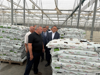 Goranboyda müasir istixana təsərrüfatı – “Kaskad Aqro” MMC-yə baxış keçirildi