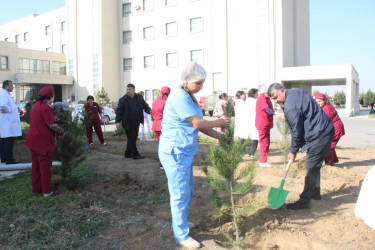 Goranboyda “08 noyabr –Zəfər Günü” ilə bağlı növbəti ağacəkmə aksiyası keçirildi