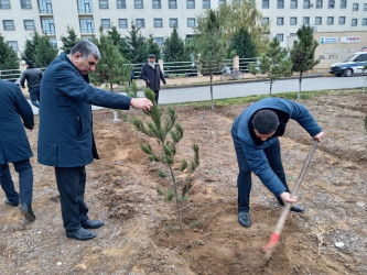 Goranboyda Ümummilli Lider Heydər Əliyevin anım günü ilə bağlı, ağacəkmə aksiyası təşkil olundu