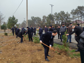 Goranboyda, Xocalı soyqırımı qurbanlarının xatirəsinə həsr olunmuş ağacəkmə aksiyası keçirildi