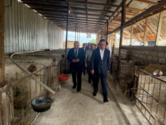 Goranboyda heyvandarlıq təsərrüfatına baxış keçirildi