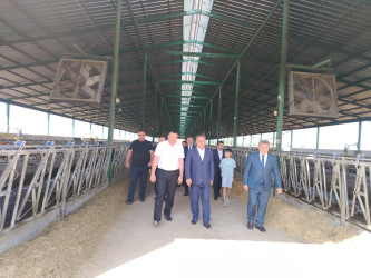Goranboyda icra başçısı “Türk Qida Sənaye” MMC-yə məxsus heyvandarlıq kompleksində oldu