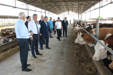 Goranboyda heyvandarlıq təsərrüfatlarına baxış davam etdirilir