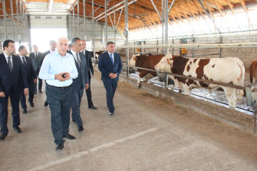 Goranboyda heyvandarlıq təsərrüfatlarına baxış davam etdirilir