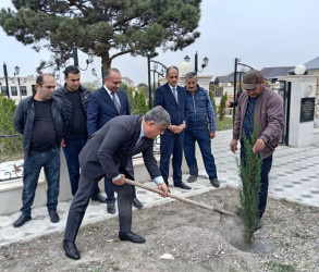 Goranboyda “08 noyabr –Zəfər Günü” ilə bağlı Fəxralı kəndində növbəti ağacəkmə aksiyası keçirildi