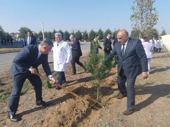 Goranboyda “08 noyabr –Zəfər Günü” ilə bağlı növbəti ağacəkmə aksiyası keçirildi